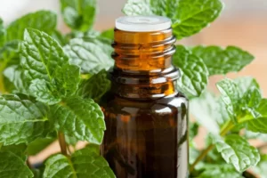 Essential Oils for Congestion