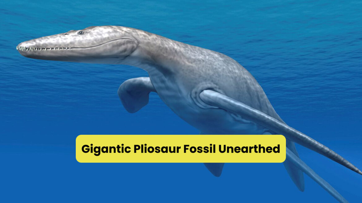 Shocking! Gigantic Pliosaur Fossil Unearthed!